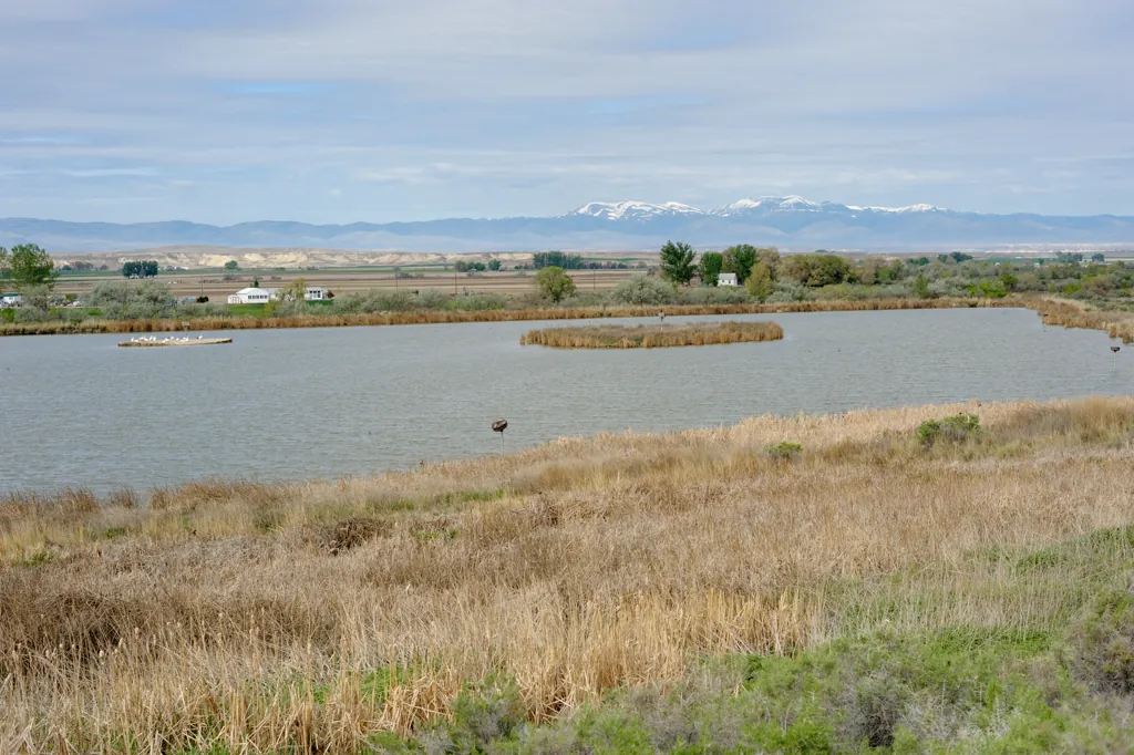 Ted Trueblood pond