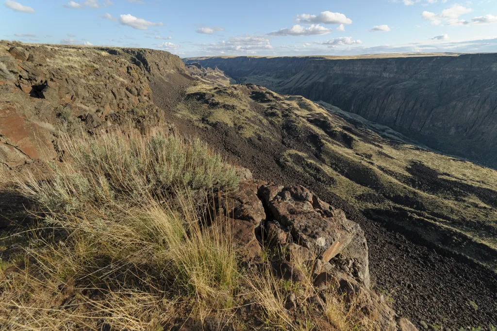Owyhee Overlook