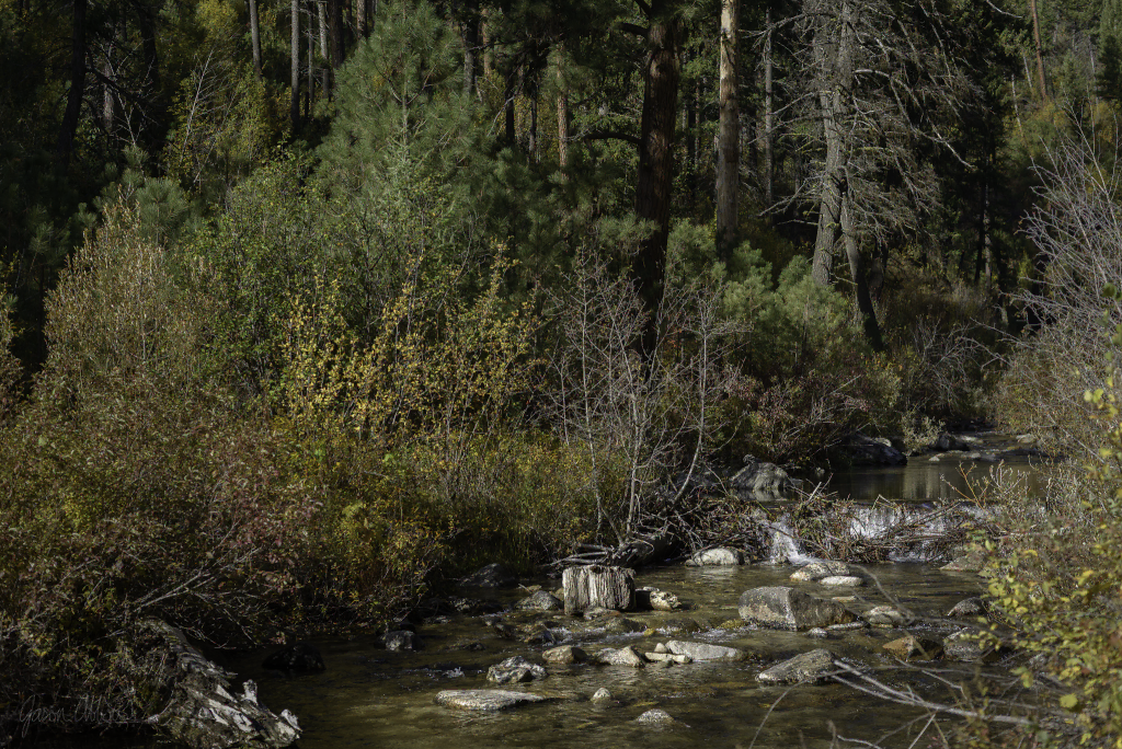 Rabbit Creek