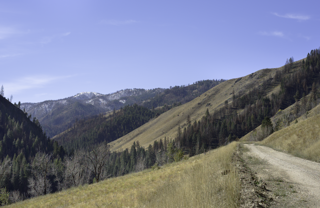 Roaring River Road