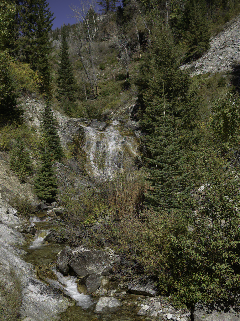 Elk Falls