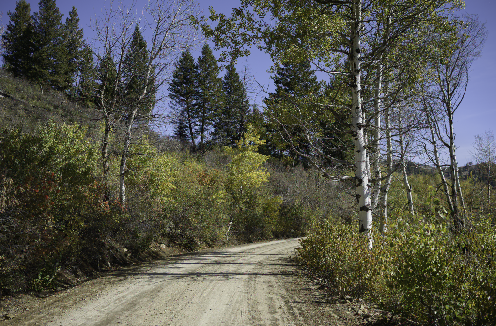 James Creek Road