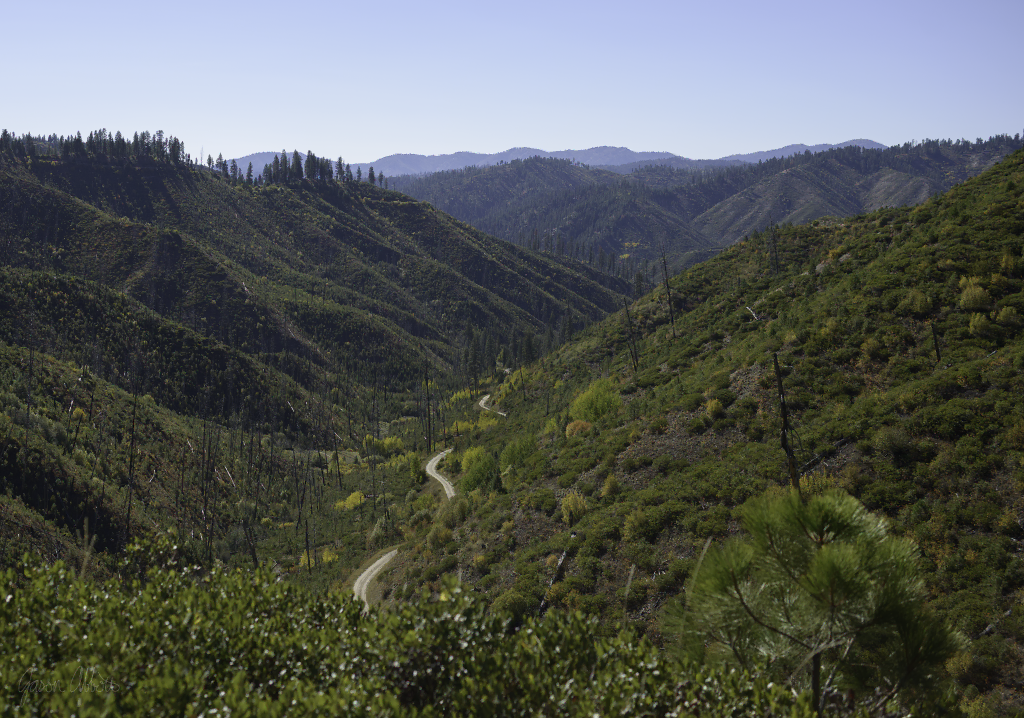 Along Steamboat Creek