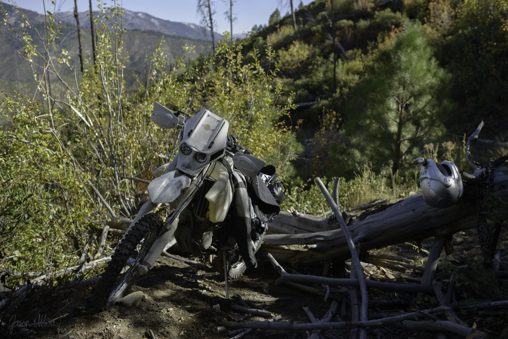 Bear Summit ATV Trail