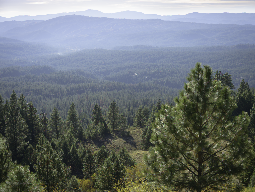 Idaho City in the valley