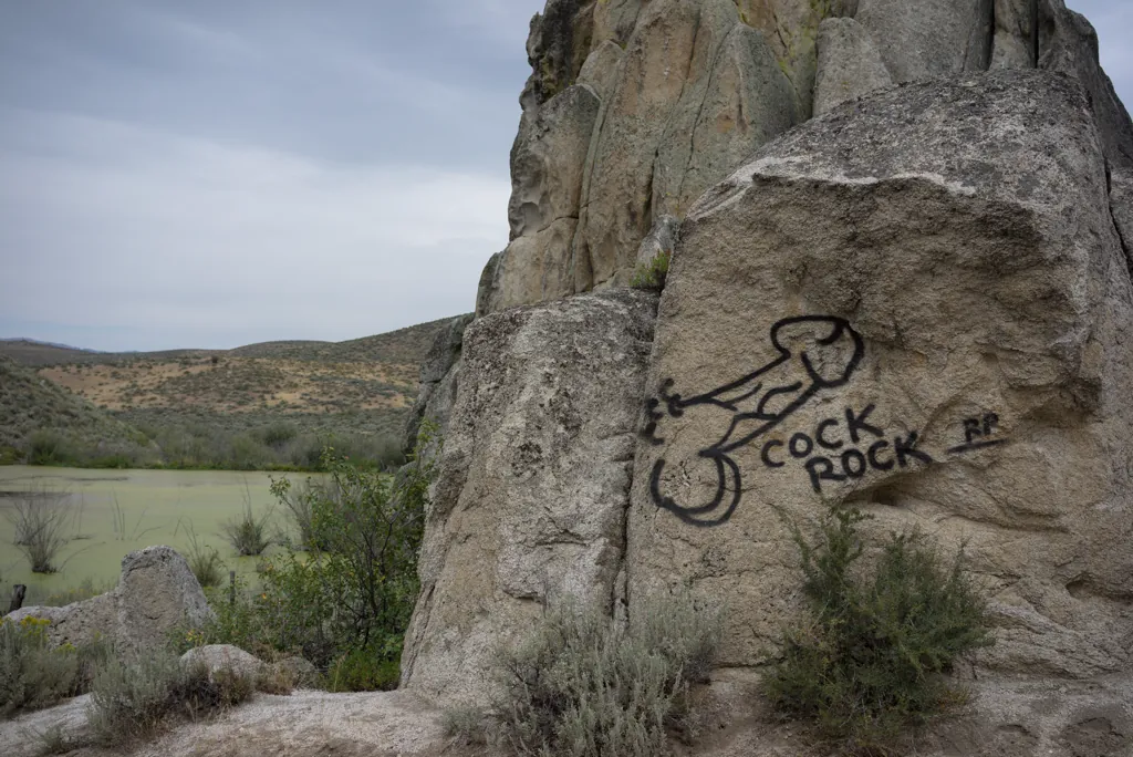 Cock Rock