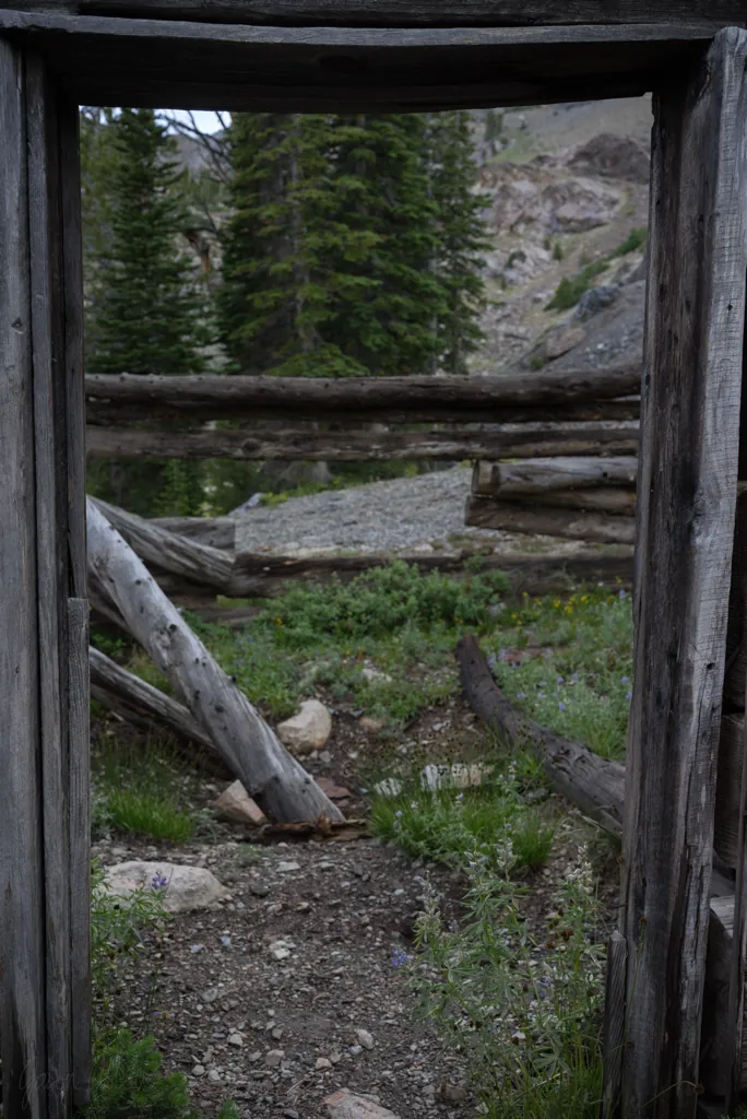 Cabin door