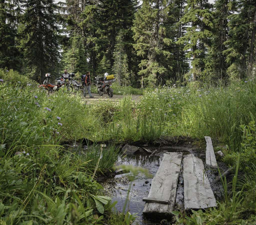 Mountain spring