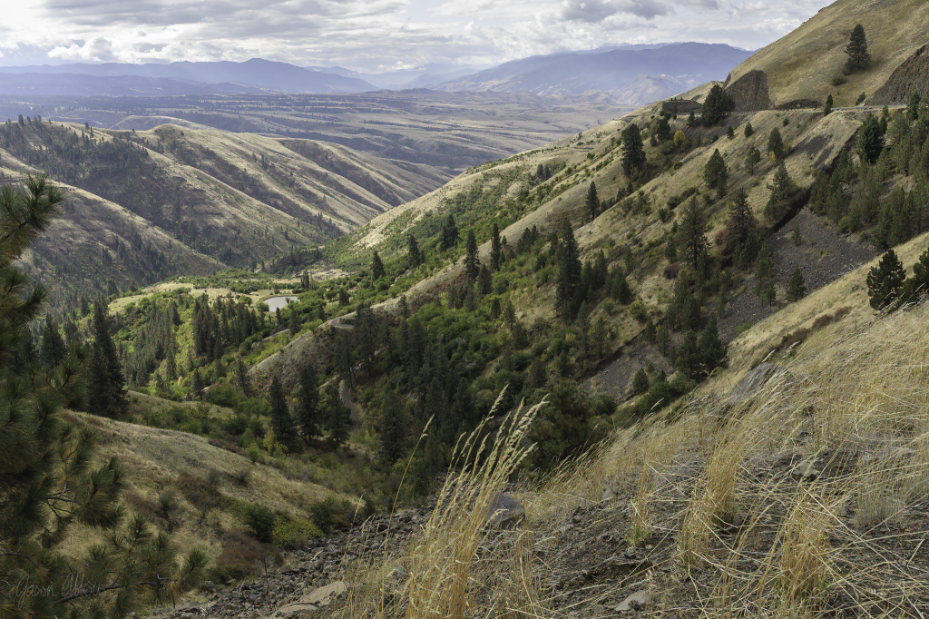 Down the valley