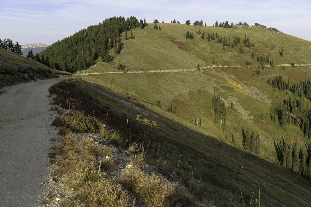 Landscape
