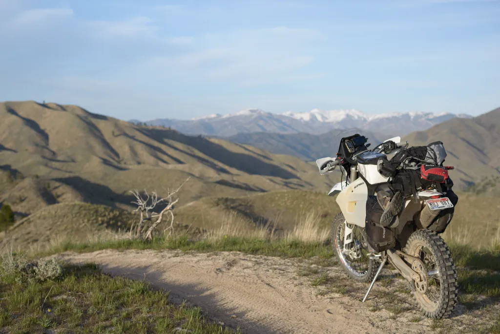 Danskin Trail 301