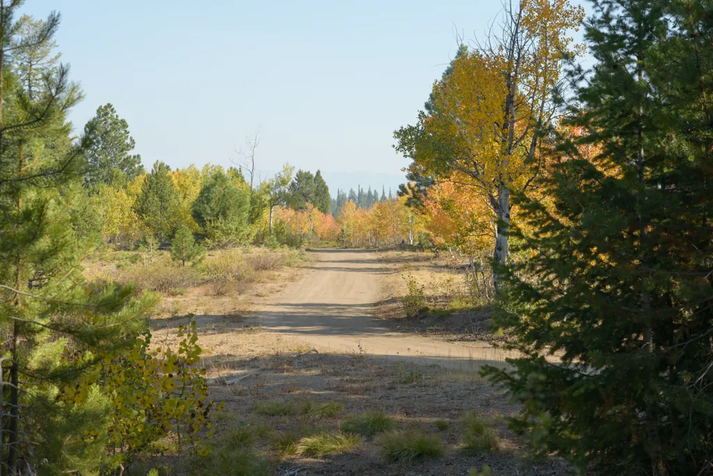 Autumn on Banner Ridge
