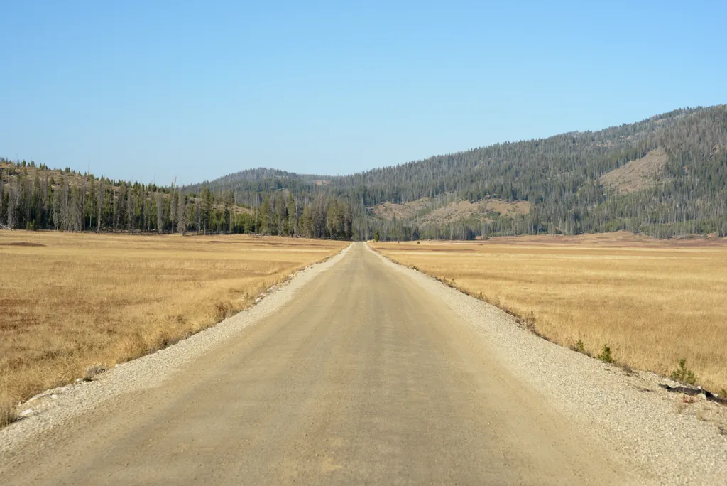 Bruce Meadows straightaway