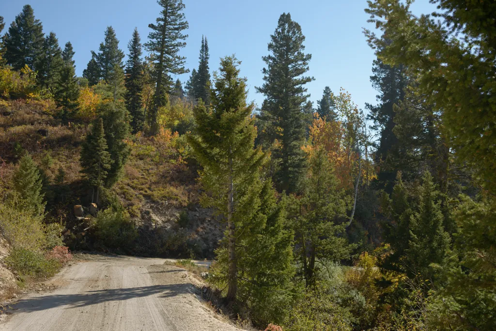 Descent to Lowman