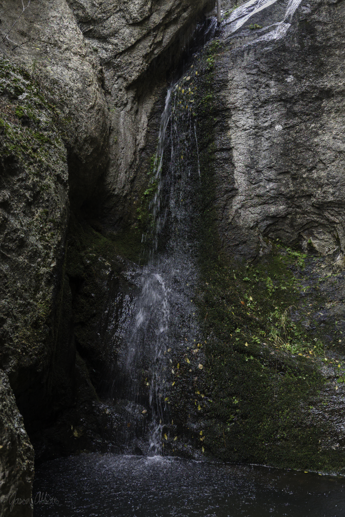 Trickle