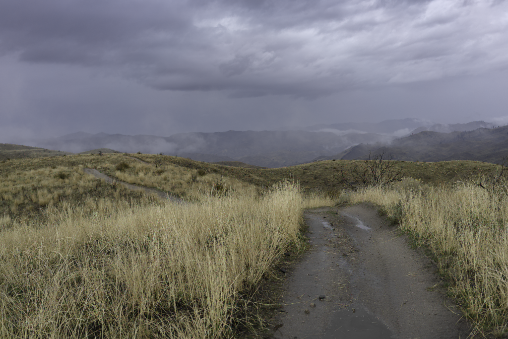 Showers on the ridge