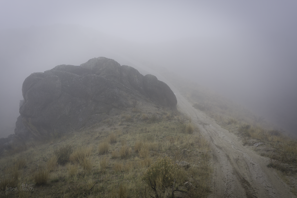 Lurking in the mist