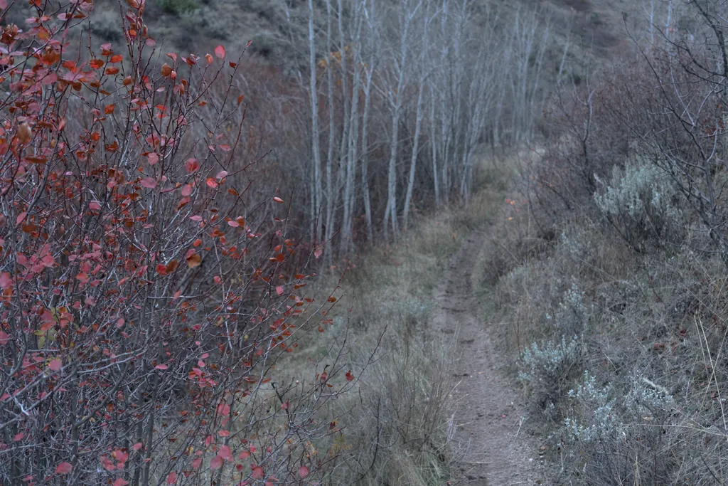 Bender Creek