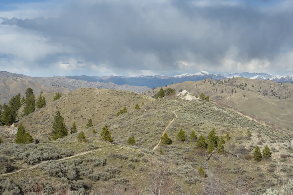 Snowy mountains