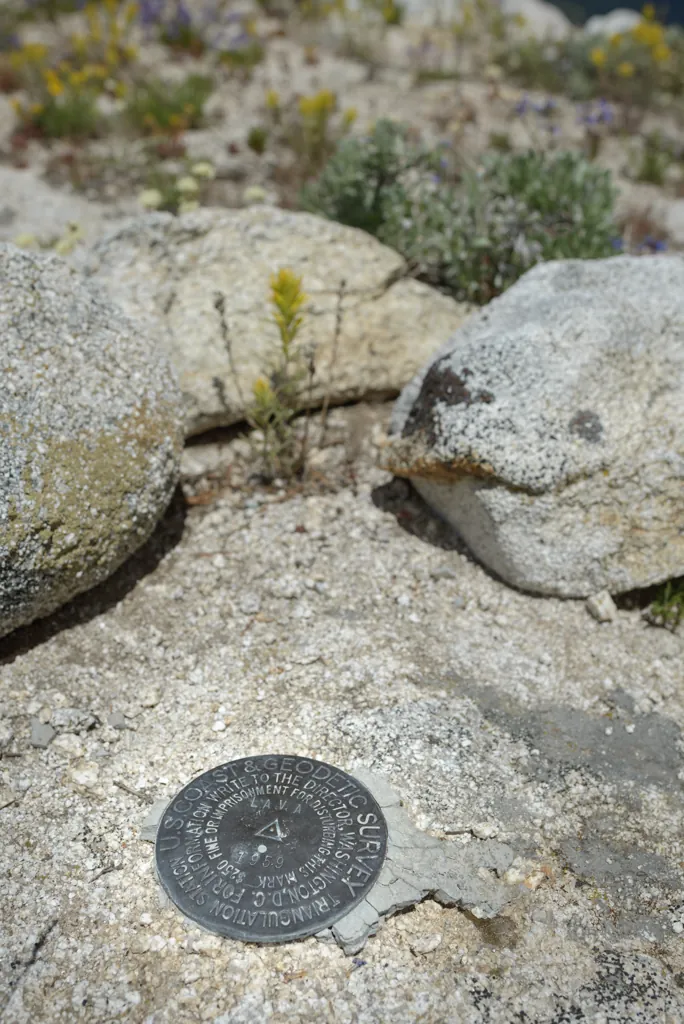 Geodetic marker