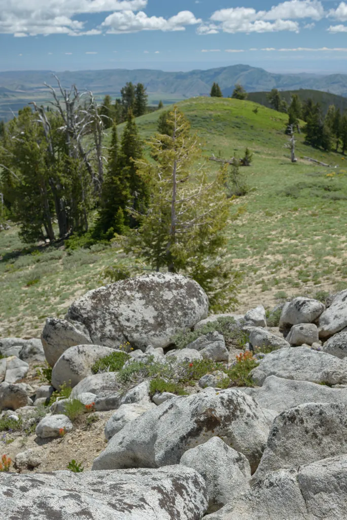 Toward Smith Prairie