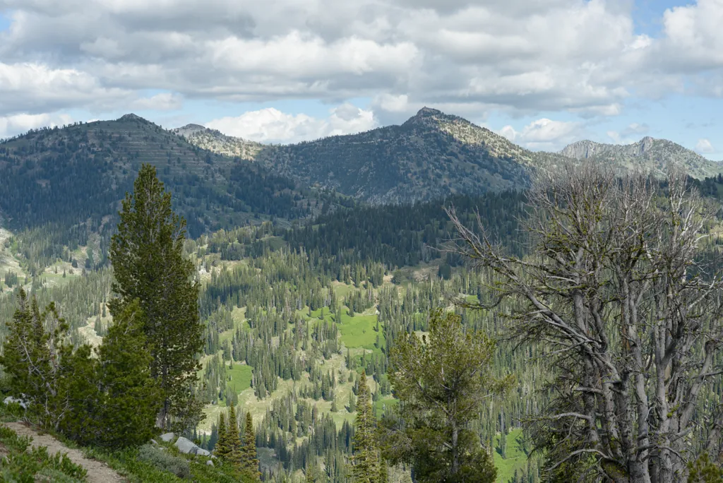 Trinity Lookout