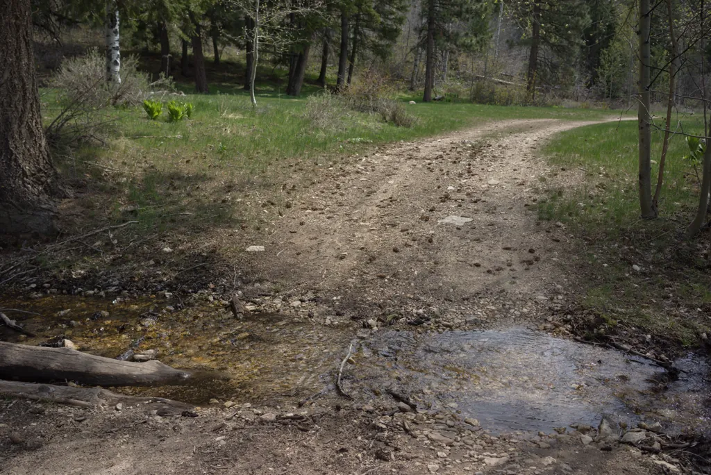 Lava Creek campsite