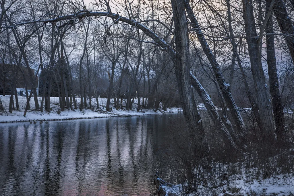 Pallid December