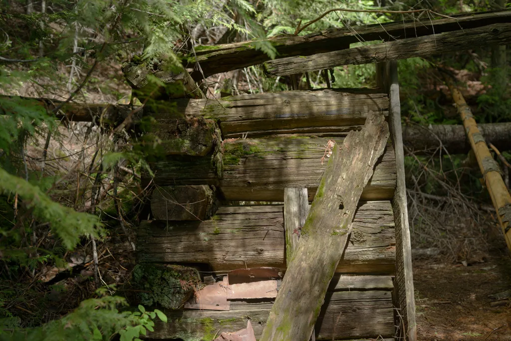 Old cabin along Warnick Road
