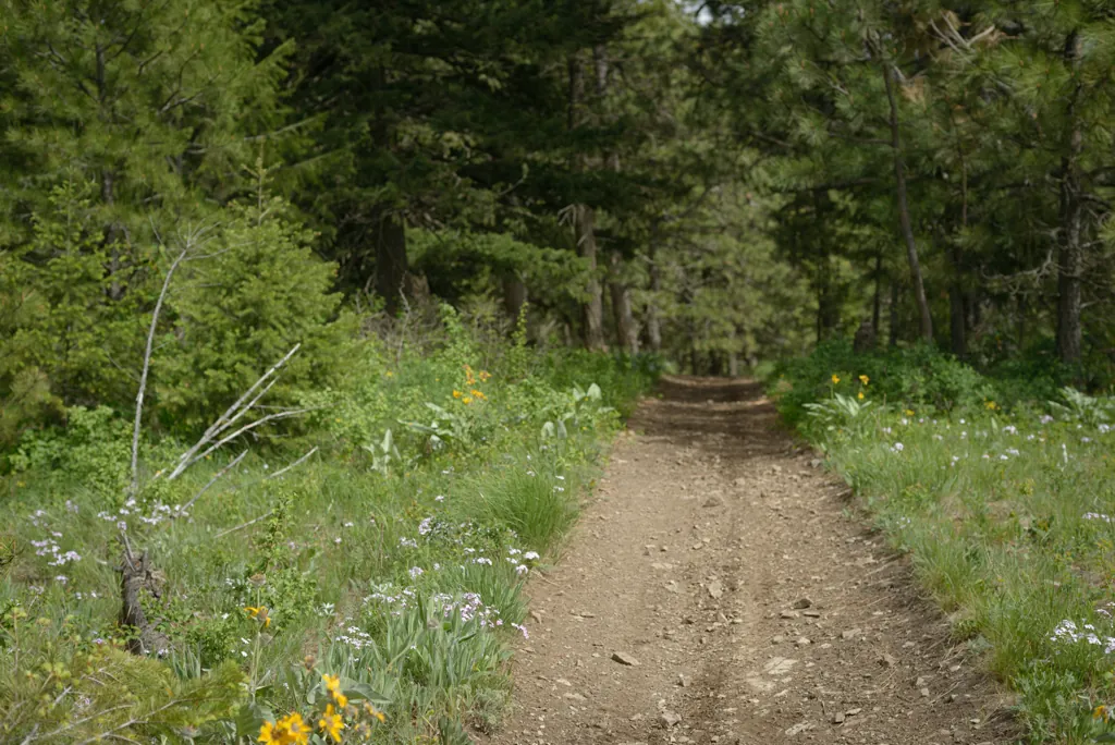 McCroskey ATV track