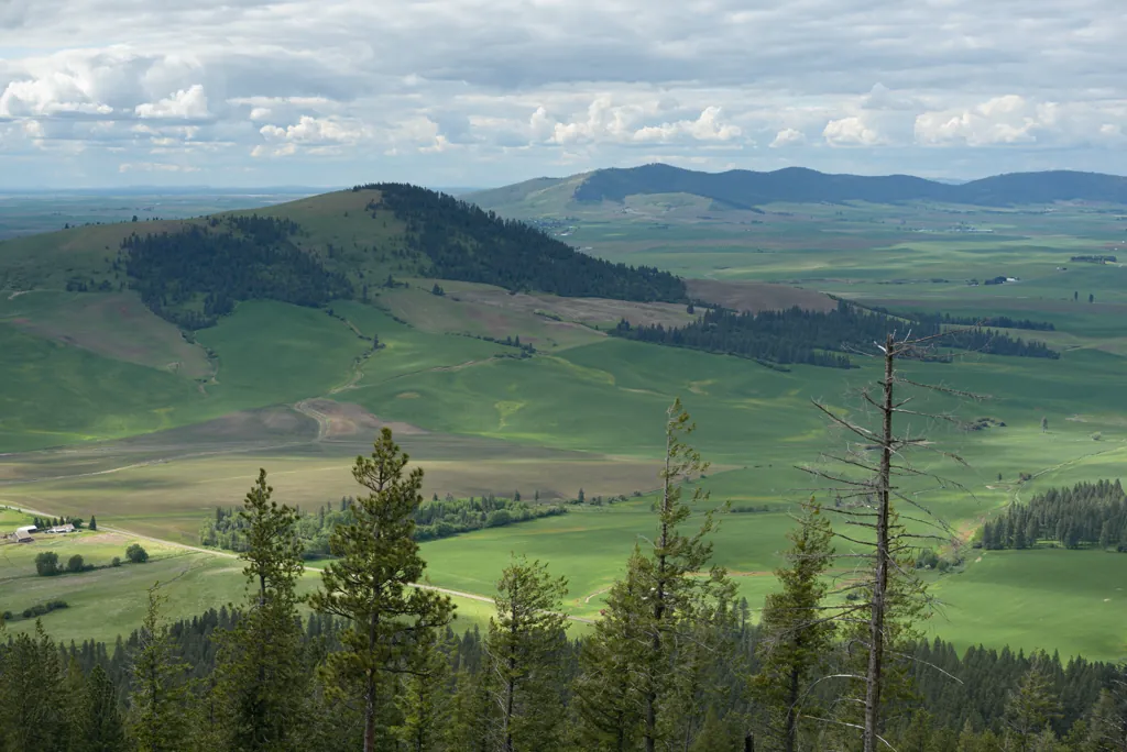 Westward view