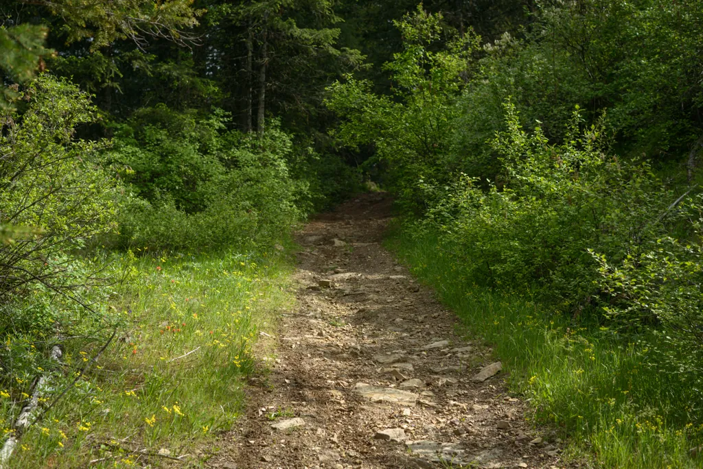 Iron Mountain trail