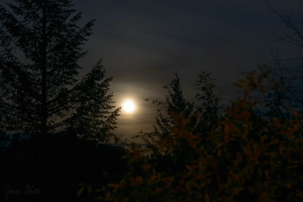 The moon that woke Jessica