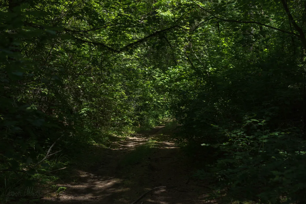 Below Meadow Creek Road