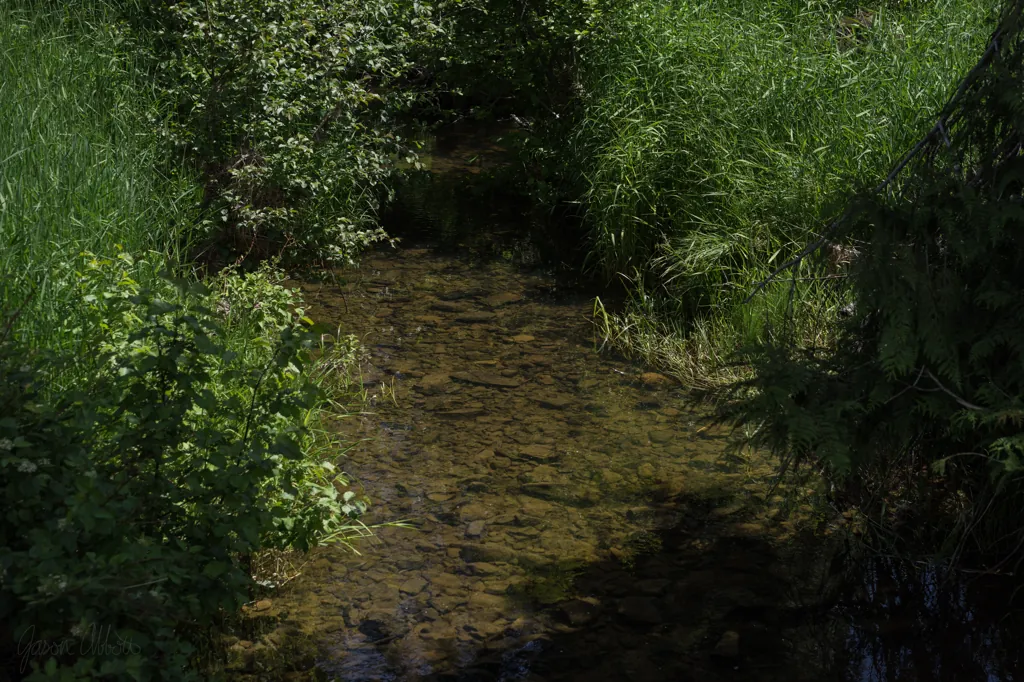 Meadow Creek