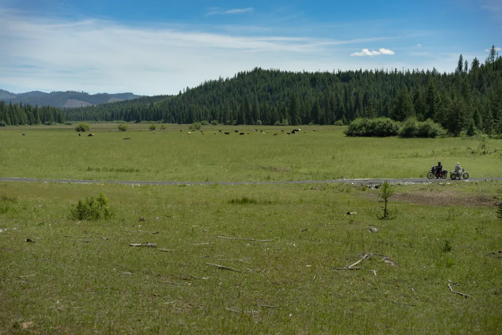 Smith Meadows