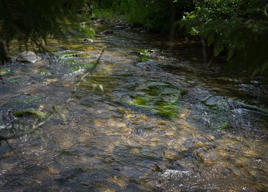 Palouse slime