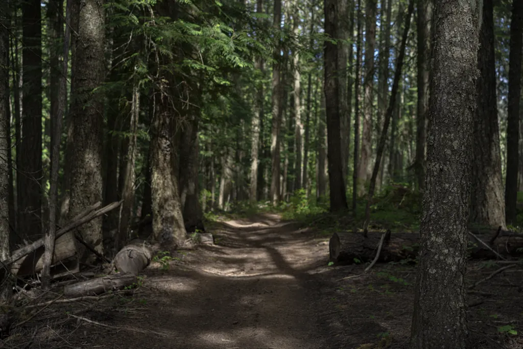 Strychnine Ridge Trail 319
