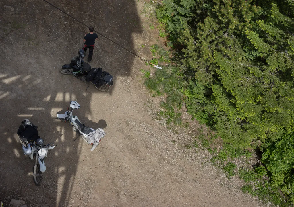 Bird’s eye