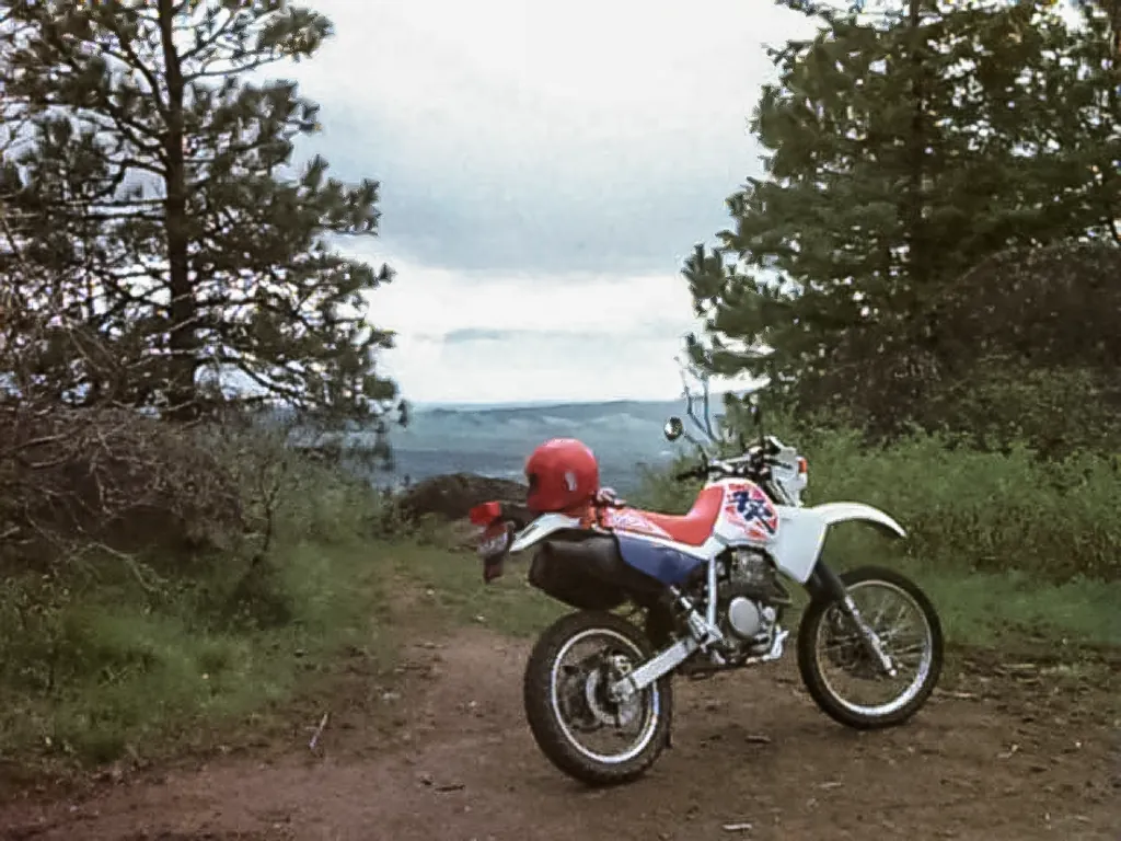 Spring 1996