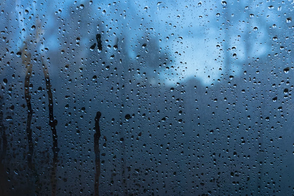 Wet week