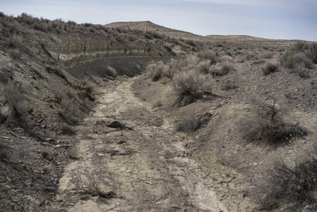 Dry creek