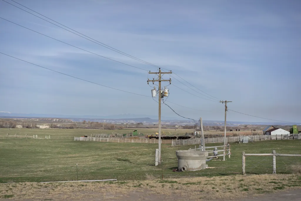 Cowland