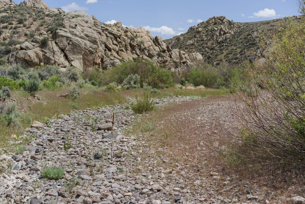 Creekbed