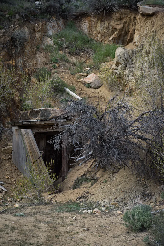 Bergh Mine