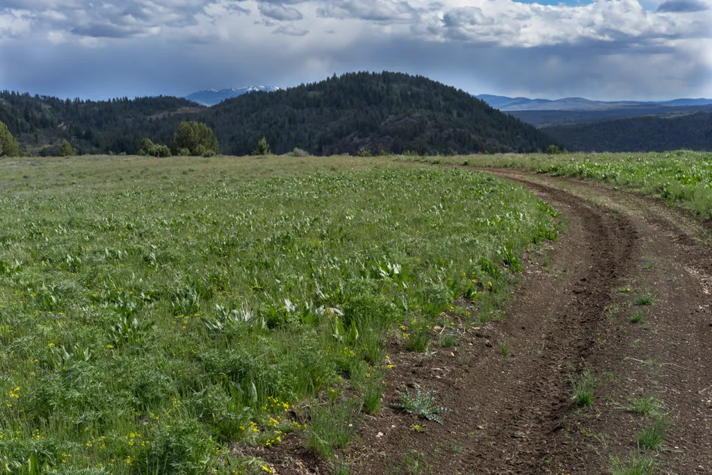 Top soil