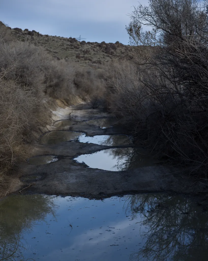 Laughlin Lane
