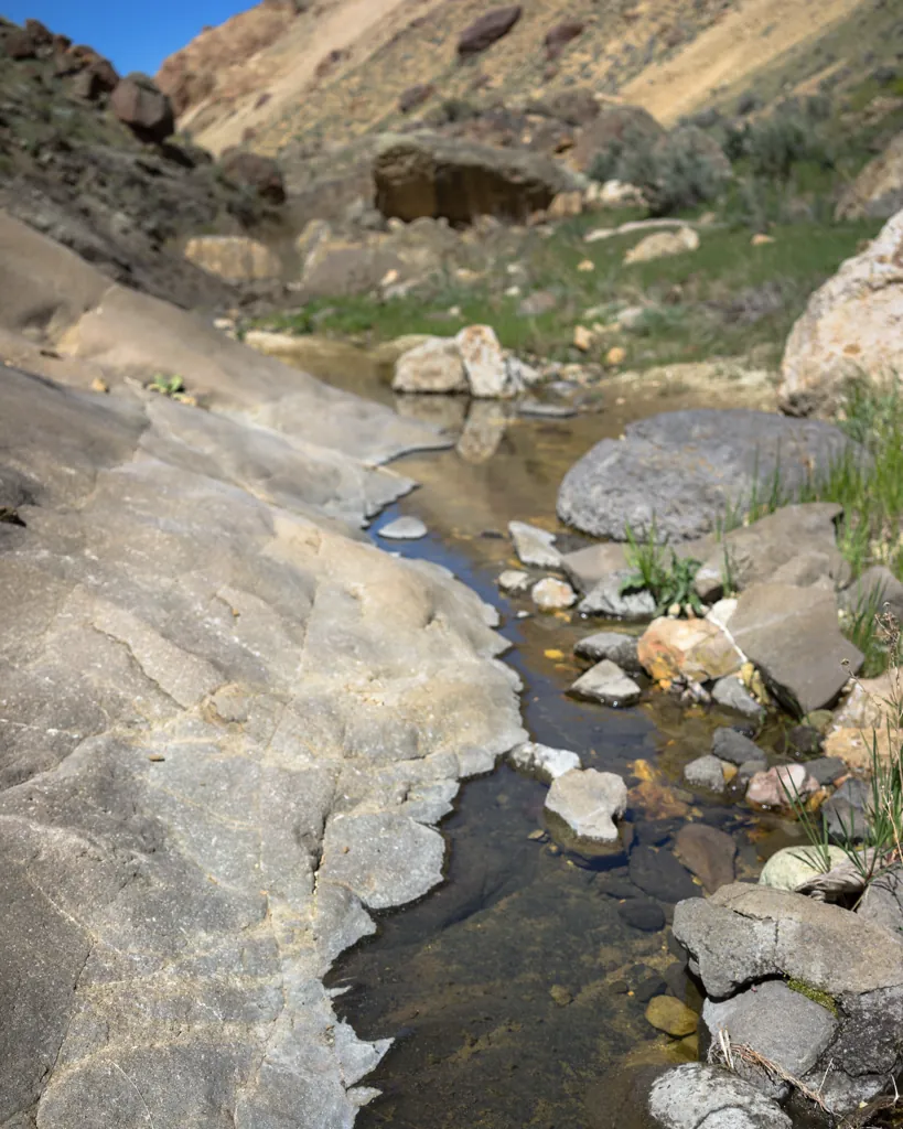 Tributary