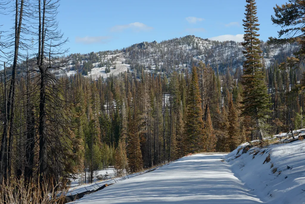 Edge of the burn area